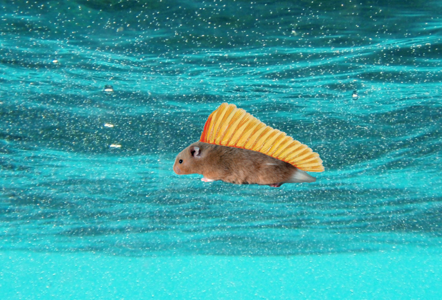 Seahamster.png