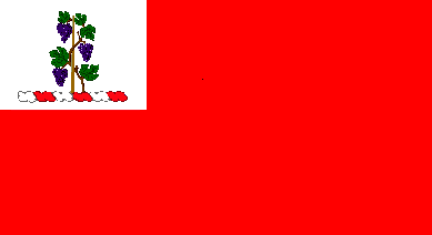 New London Flag.png